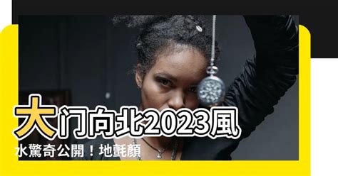 2023 地毯顏色